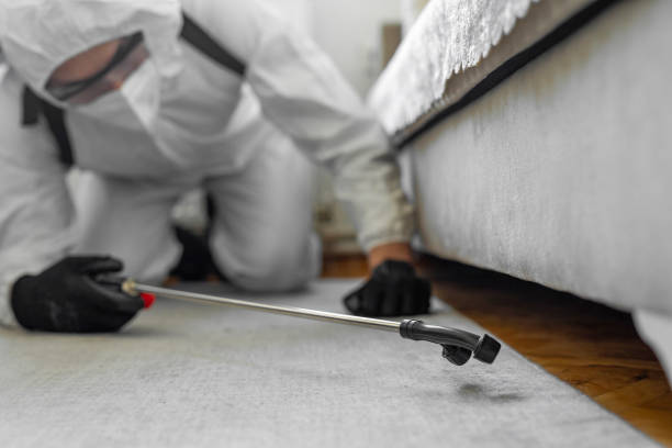 Professional Pest Control technician working in Lubbock County County, TX
